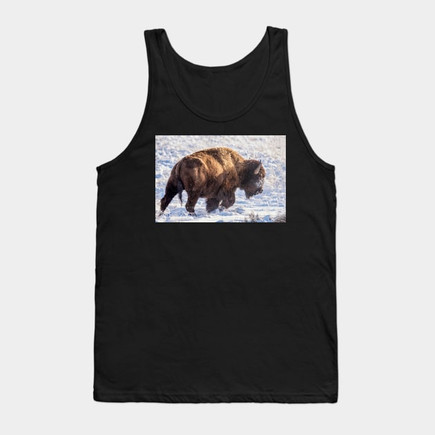 Fortitude - Bison in Snow Tank Top by StacyWhite